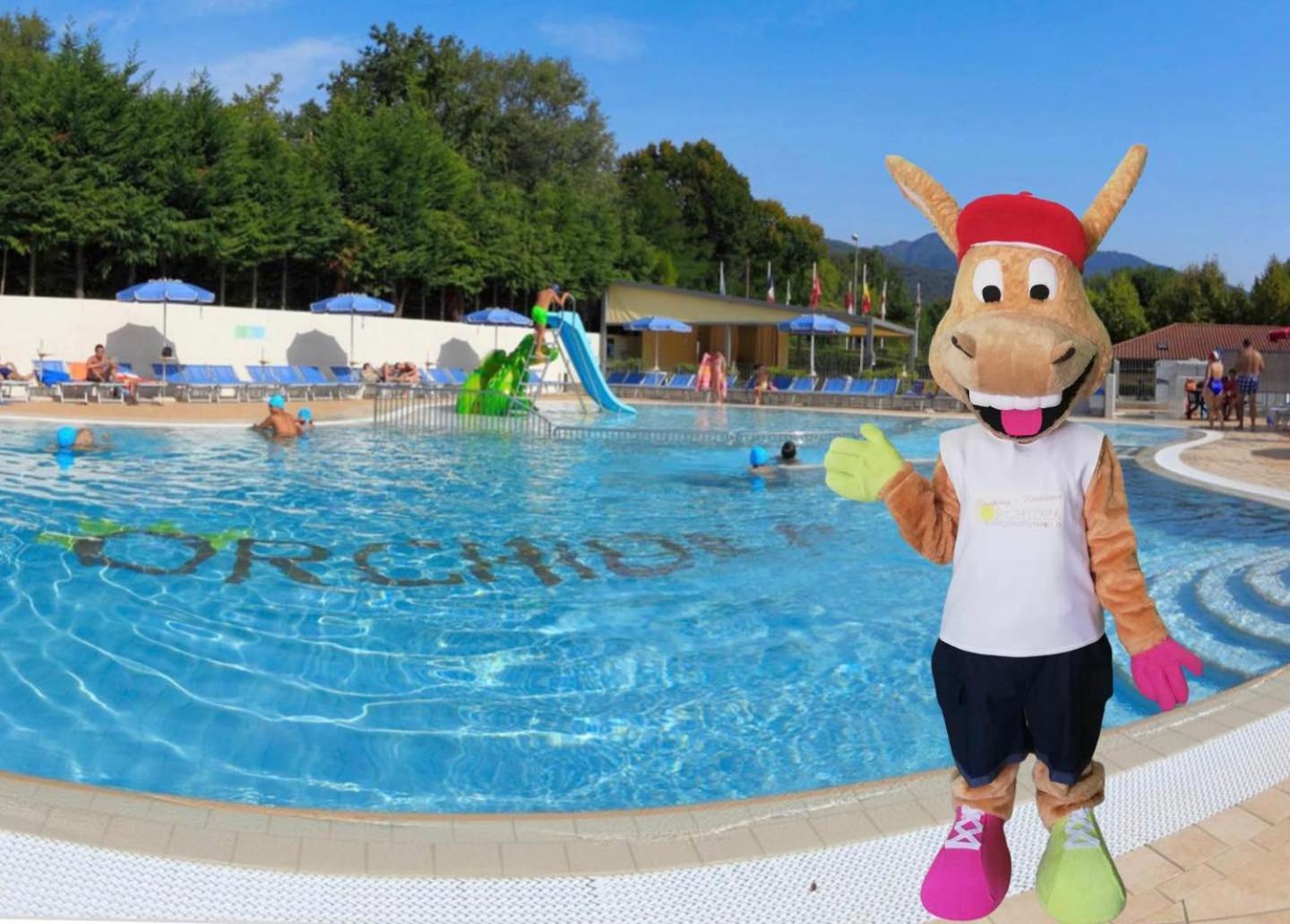Camping Residence & Lodge Orchidea Baveno Dış mekan fotoğraf